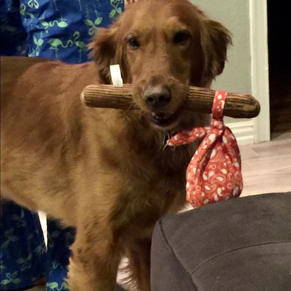 Meet your Posher, Michael - Picture 1 of 1